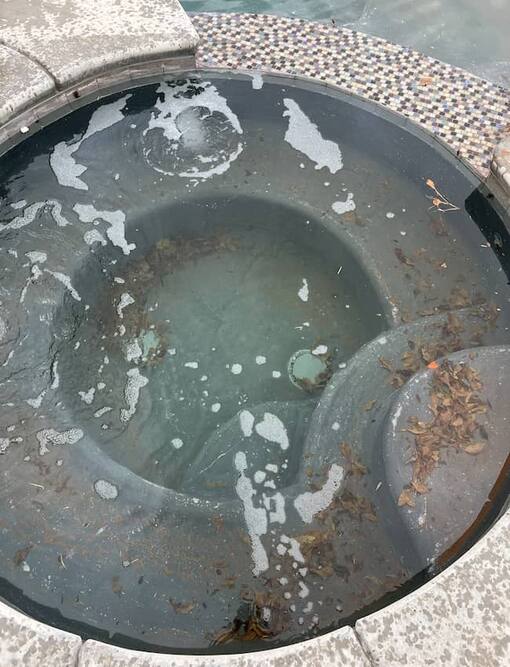 Green algae-filled pool before The Pool Medic service
