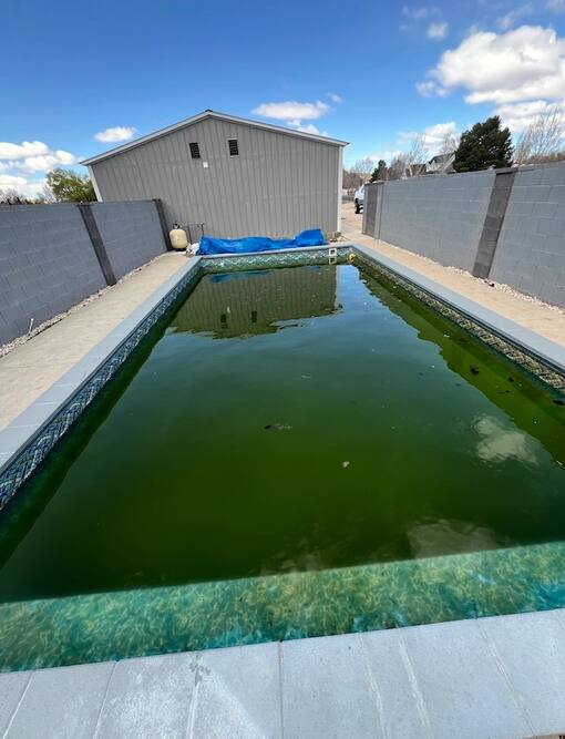Neglected pool before restoration