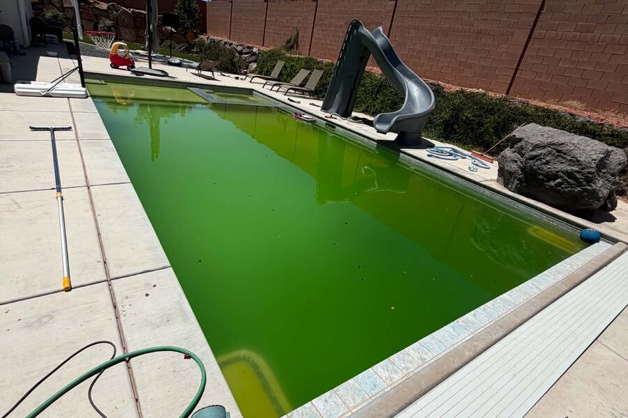 The same pool green and untreated before service